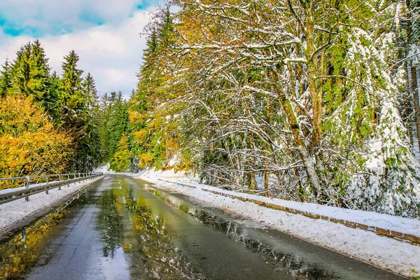 Road into snowy mountain and pine woods in bavarian Alps at autumn, Germany