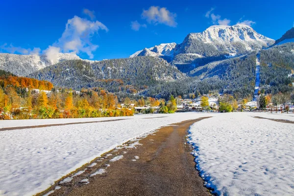 Road into snowy mountain and pine woods in bavarian Alps at autumn, Germany