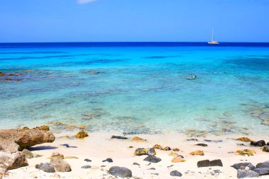 Cennet Aruba, Karayip Mavi Denizi, Duth Antilleri 'ndeki tenha turkuaz plajı.