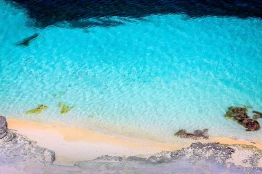 Tropical paradise, sand beach in caribbean Saona Island, Punta Cana, Dominican Republic