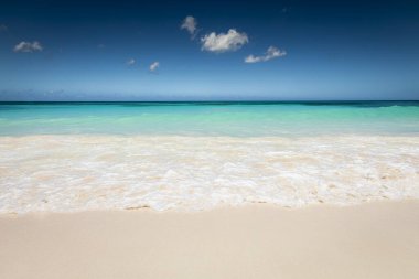 Tropical paradise, sand beach in caribbean Saona Island, Punta Cana, Dominican Republic