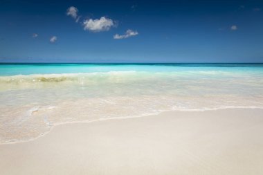 Tropical paradise, sand beach in caribbean Saona Island, Punta Cana, Dominican Republic