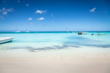 Tropical paradise, sand beach in caribbean Saona Island, Punta Cana, Dominican Republic