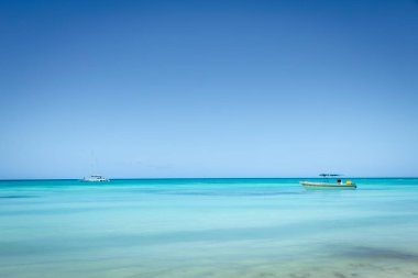 Tropical paradise, sand beach in caribbean Saona Island, Punta Cana, Dominican Republic