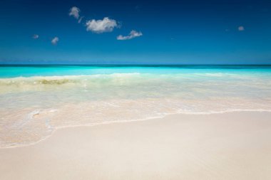 Tropical paradise, sand beach in caribbean Saona Island, Punta Cana, Dominican Republic