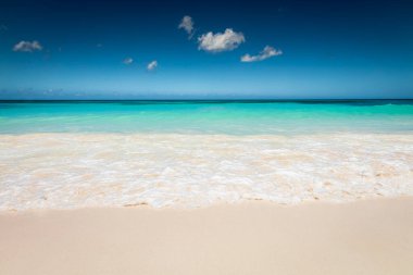 Tropical paradise, sand beach in caribbean Saona Island, Punta Cana, Dominican Republic