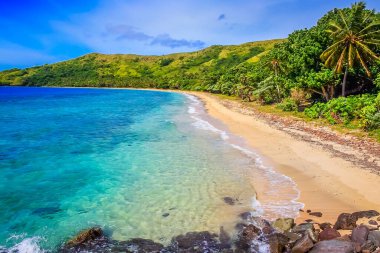 Tropical paradise, sandy beach at summer day in Fiji Islands, Pacific ocean