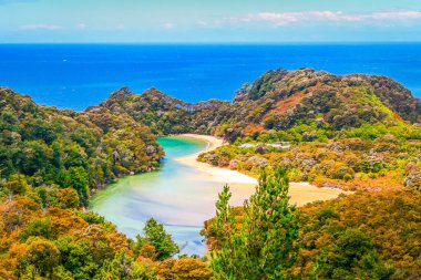 Idyllic beach in abel tasman national park, New Zealand South Island at sunny day