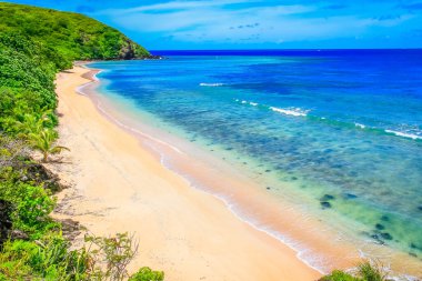 Tropical paradise, sandy beach at summer day in Fiji Islands, Pacific ocean