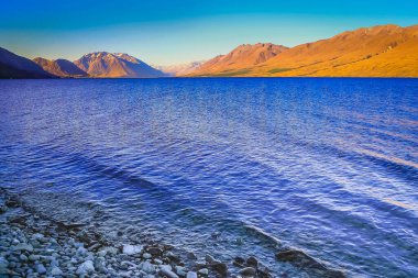 Blue Lake Tekapo at peaceful evening, New Zealand South island idyllic landscape