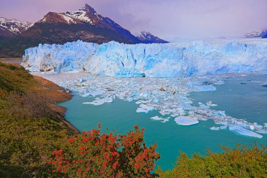 El Calafate 'deki Perito Moreno Buzulu, Arjantin' deki Patagonya, Güney Amerika