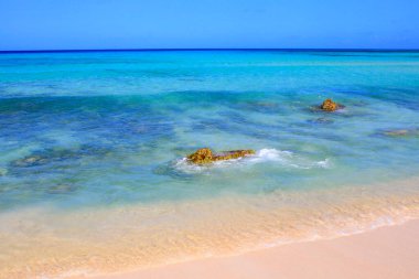 Cennet Aruba, Karayip Mavi Denizi, Duth Antilleri 'ndeki tenha turkuaz plajı.