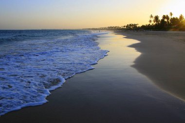 Idyllic Porto de Galinhas Beach in Pernambuco, Northeast of Brazil, South America