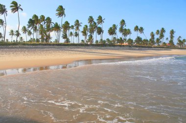 Idyllic Porto de Galinhas Beach in Pernambuco, Northeast of Brazil, South America