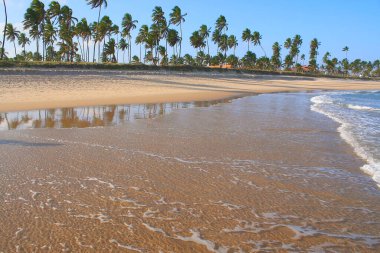 Idyllic Porto de Galinhas Beach in Pernambuco, Northeast of Brazil, South America