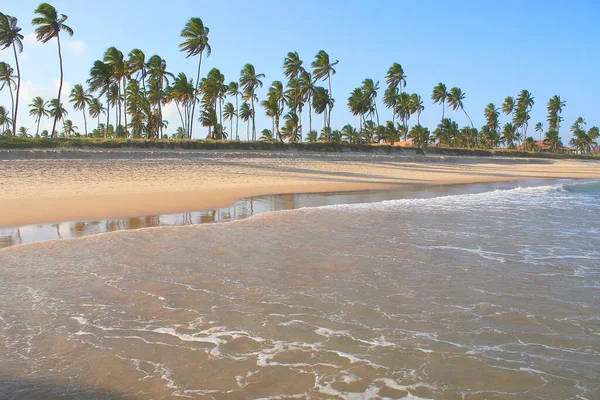 Idyllic Porto Galinhas Beach Pernambuco Northeast Brazil South America — Fotografia de Stock