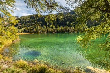 Alpine Gölü Palpuogna Graubunden İsviçre 'deki Albula Geçidi, Grisons, İsviçre