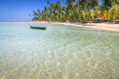 Carneiros Beach and fishermen boat in Pernambuco, Northeastern Brazil, South America