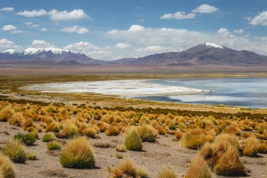 Salt lake reflection and idyllic volcanic landscape at Sunset, Atacama desert, Chile border with Bolivia