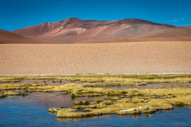 Salt lake reflection and idyllic volcanic landscape at Sunset, Atacama desert, Chile border with Bolivia