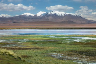 Salt lake reflection and idyllic volcanic landscape at Sunset, Atacama desert, Chile border with Bolivia
