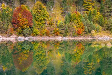 Alpsee lake reflection in Bavarian alps at golden autumn, Karwendel mountains, Bavaria, Germany