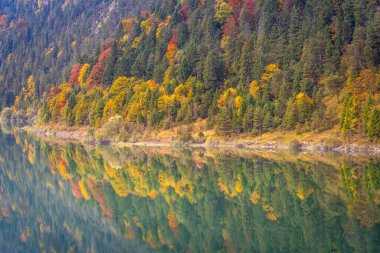 Alpsee lake reflection in Bavarian alps at golden autumn, Karwendel mountains, Bavaria, Germany