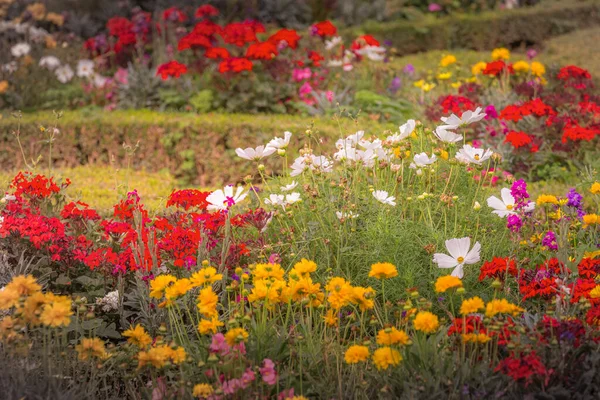 Colorful Flowers Garden Golden Sunset Idyllic Landscape Giverny France — Stock Photo, Image