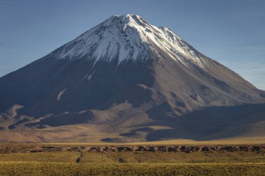 Licancabur and Peaceful dramatic volcanic landscape at Sunset, Atacama Desert, Chile
