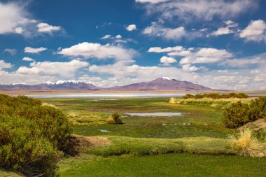 Salt lake reflection and idyllic volcanic landscape at sunrise, Atacama desert, Chile border with Bolivia