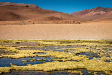 Salt lake reflection and idyllic volcanic landscape at Sunset, Atacama desert, Chile border with Bolivia