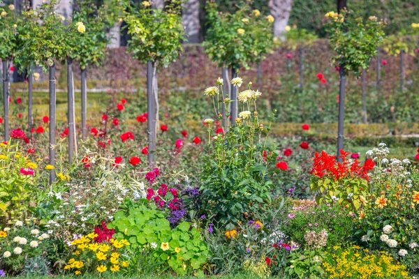 Colorful Delicate Flowers Garden Golden Sunset Idyllic Landscape Giverny France — Stock Photo, Image