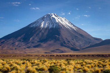 Licancabur and Peaceful dramatic volcanic landscape at Sunset, Atacama Desert, Chile