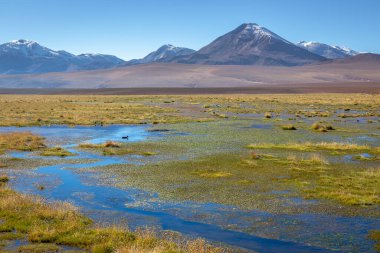 Licancabur and Peaceful reflection lake with dramatic volcanic landscape at Sunset, Atacama Desert, Chile