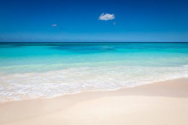 Tropical beach in caribbean sea, idyllic Saona island, Punta Cana, Dominican Republic