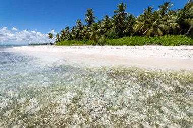 Tropical beach in caribbean sea, idyllic Saona island, Punta Cana, Dominican Republic