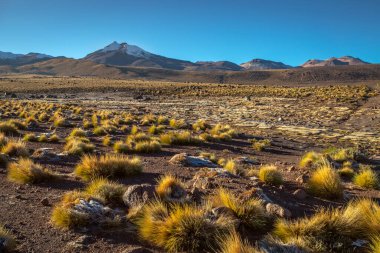 Atacama Desert dramatic volcanic landscape at Sunset, Northern Chile, South America