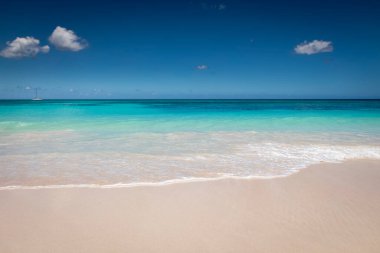 Tropical beach in caribbean sea, idyllic Saona island, Punta Cana, Dominican Republic