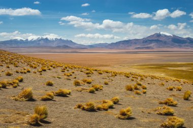 Atacama Desert dramatic volcanic landscape at Sunset, Northern Chile, South America