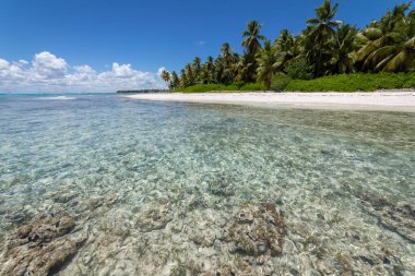 Tropical beach in caribbean sea, idyllic Saona island, Punta Cana, Dominican Republic