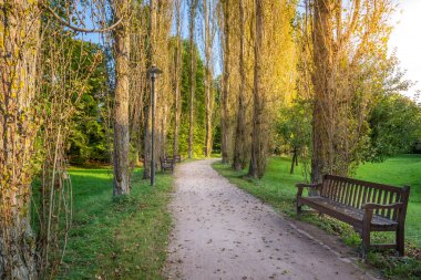 Arka arkaya ağaçlarla dolu bir sokak, sonbahar günbatımında treptower parkı, Berlin, Almanya