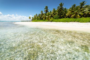 Karayip Denizi 'ndeki tropik plaj, Saona Adası, Punta Cana, Dominik Cumhuriyeti
