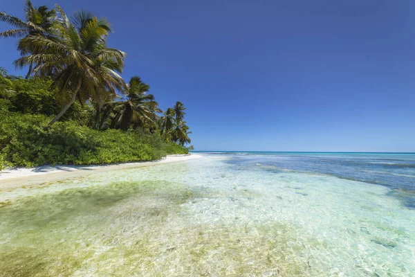 Tropical Beach Caribbean Sea Idyllic Saona Island Punta Cana Dominican — Fotografia de Stock