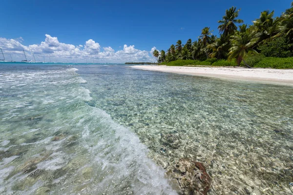 Tropical Beach Caribbean Sea Idyllic Saona Island Punta Cana Dominican — Stock fotografie