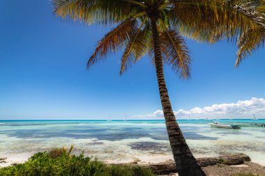 Boats and tropical beach in caribbean sea, idyllic Saona island, Punta Cana, Dominican Republic