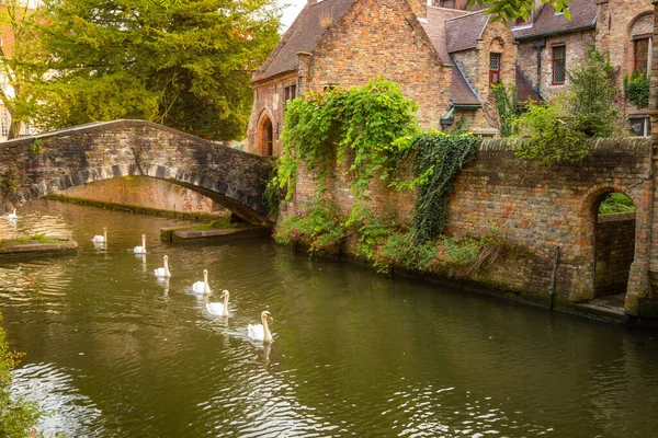 Arquitetura Flamenga Ornamentada Bruges Com Canal Cisnes Flutuando Uma Fileira — Fotografia de Stock