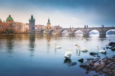 Çek Cumhuriyeti 'nin dramatik akşamında Prag ve Vltava nehrinin şehir manzarası üzerine panoramik manzara