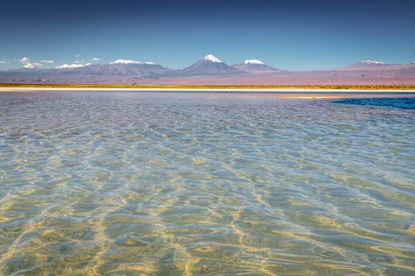 Licancabur Peaceful Reflection Lake Dramatic Volcanic Landscape Sunset Atacama Desert — Stockfoto