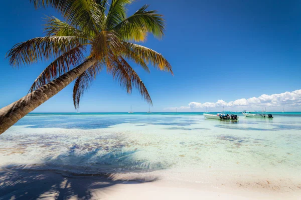 Boats and tropical beach in caribbean sea, idyllic Saona island, Punta Cana, Dominican Republic