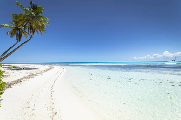 Tropikalna Plaża Morzu Karaibskim Idylliczna Wyspa Saona Punta Cana Dominikana — Zdjęcie stockowe